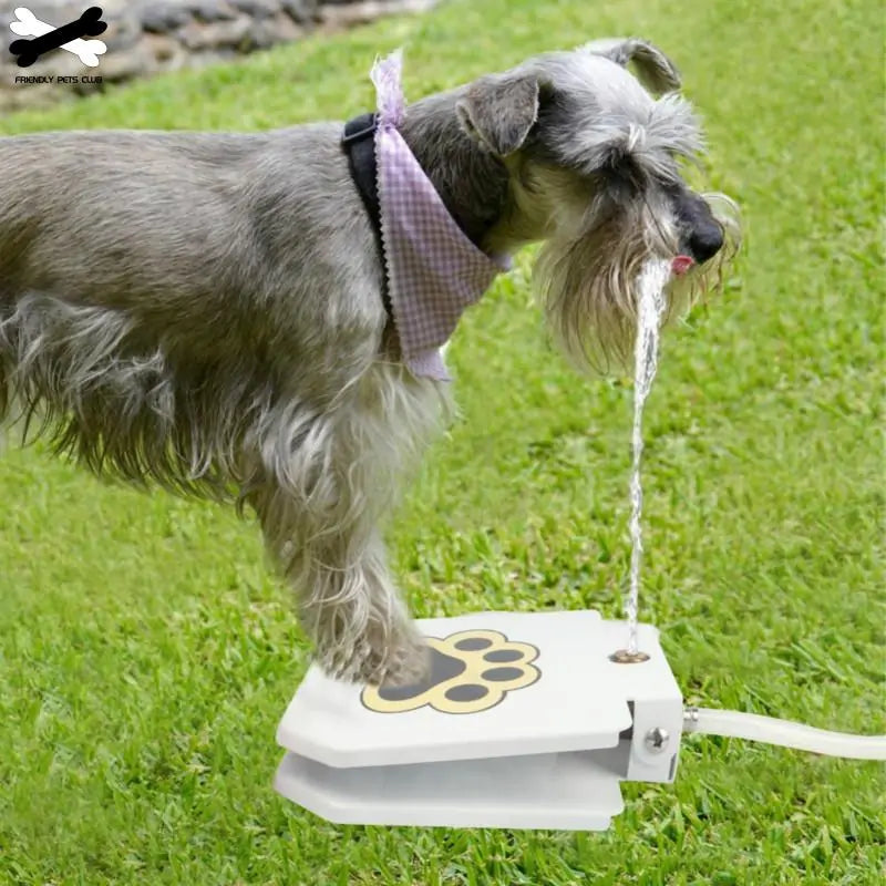 Automatic Dog Drinking Fountain